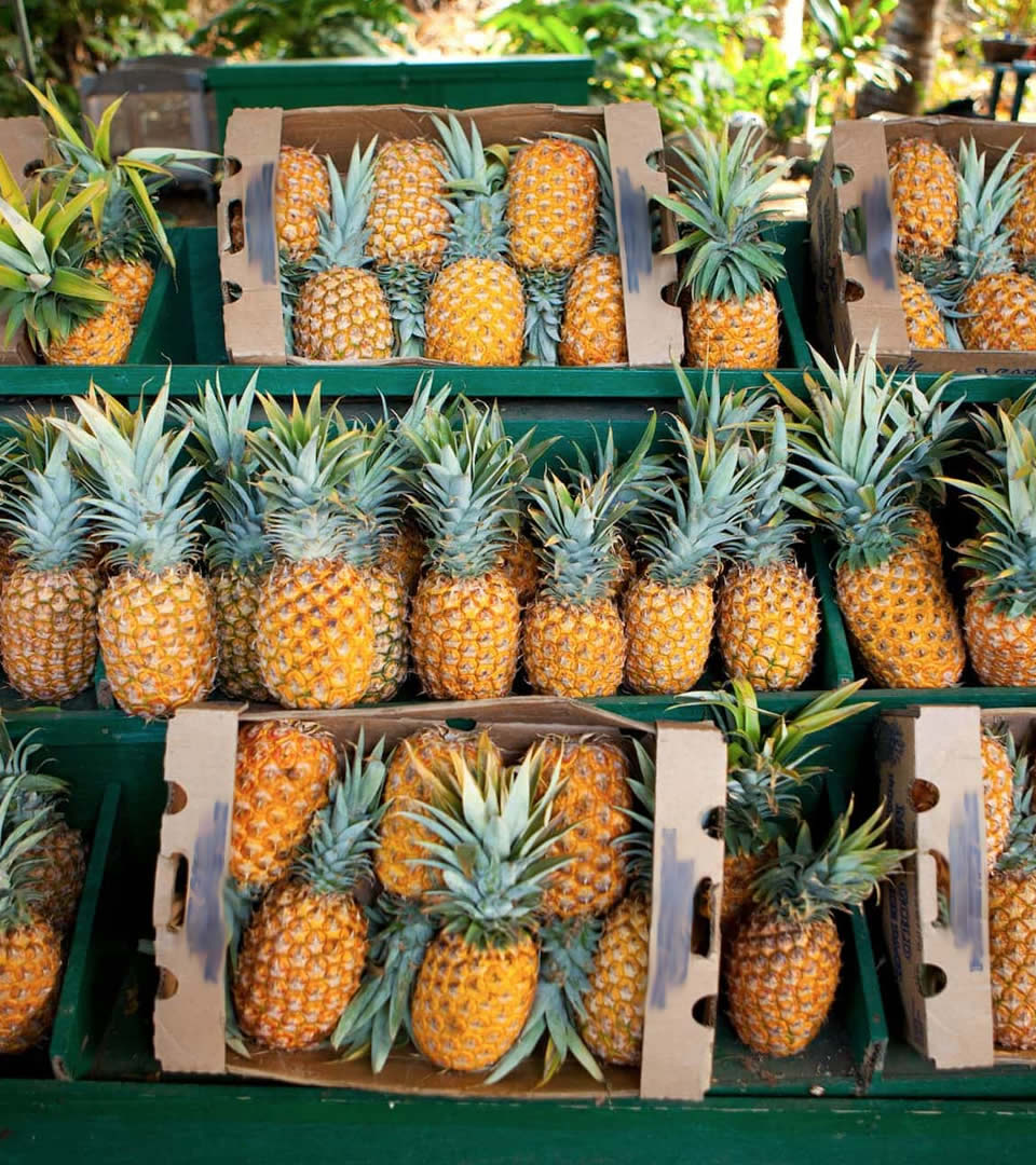 pineapple